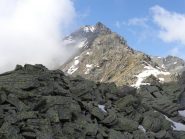 Punta Tressi