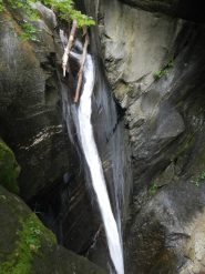 T20 con radicione dopo la cura