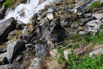 Frank al fresco nel torrente
