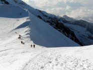 Lunga sequela di formichine salgono al monte