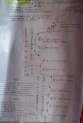 Schema della via