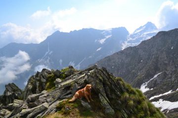 panorama dalla cresta della Punta Santanel