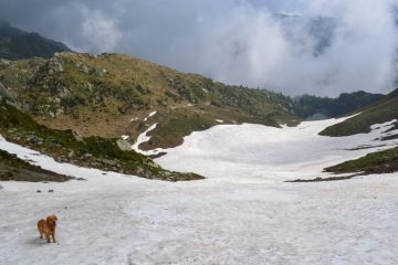 sul nevaio in discesa dal Colle Santanel