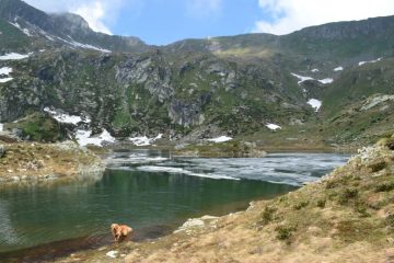 un bel bagno rinfrescante