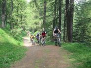 una rampa nel bosco