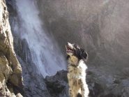 Dianette si rinfresca con gli spruzzi della cascata