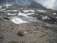 il lago Mongioia salendo in vetta