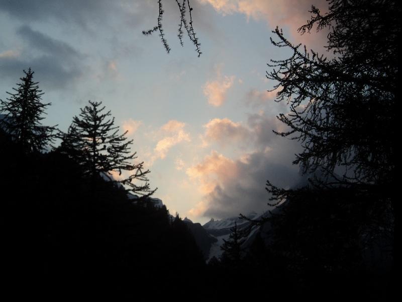 ...il mattino ha l'oro in bocca1