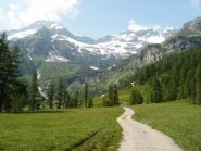 Alpe Veglia