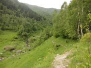 Pascoli dopo Masonaie