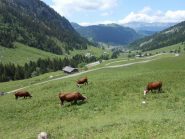negli Aravis