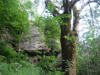 sul sentiero che porta a malone q. 1300