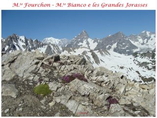 panorama verso il Bianco e la Jorasse dalla vetta...