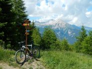 la palina che indica il sentiero per Vazon