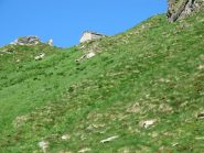 Alpe Colletto