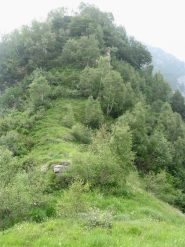 colletto dopo il der