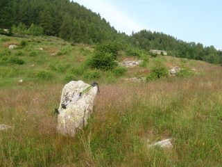 bisogna salire al colletto dietro la baita fassabella 1240 ca