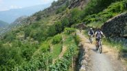  attraverso i vigneti di Barmas