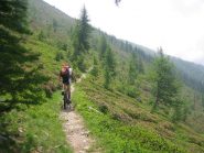 il sentiero che dalla Colletta sale alla Rocca Bianca