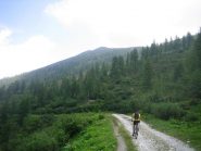 sullo sfondo la Rocca Bianca