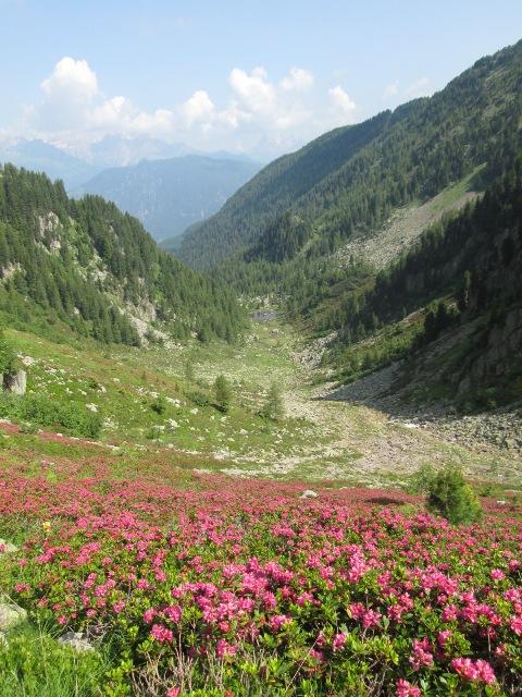 poco sotto il bivacco