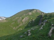 cima del rospo