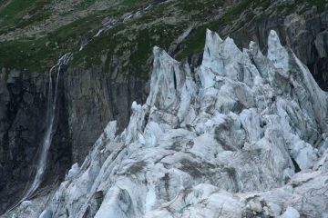 qui noi siamo solamente delle piccole pulci