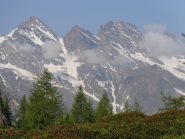 oltre i rododendri il colle perso