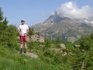Pino all'alpe Liliet