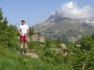 Pino all'alpe Liliet