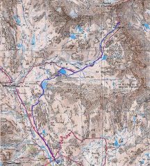 cartina e traccia gps