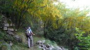 sulla mulattiera per il colle della Vecchia