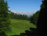Tra prati, larici e monti all'orizzonte