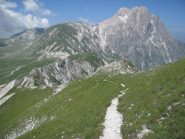 In discesa sul Sentiero del centenario