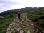 Antica mulattiera militare