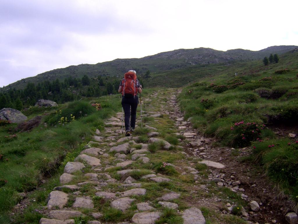 Antica mulattiera militare