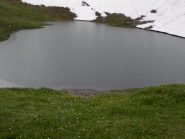pioggia nel laghetto
