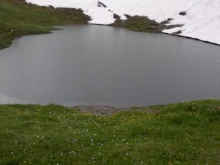 pioggia nel laghetto