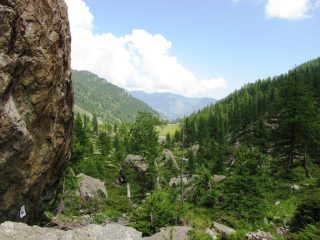 panorama dal settore black mamba