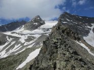 Dal valico il ghiacciaio