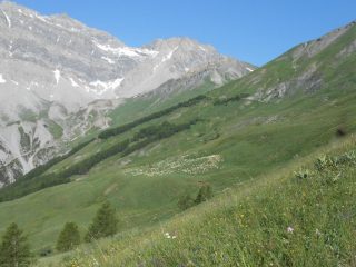 salendo verso il colle del Rho