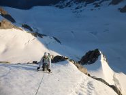 parte inferiore della sperone