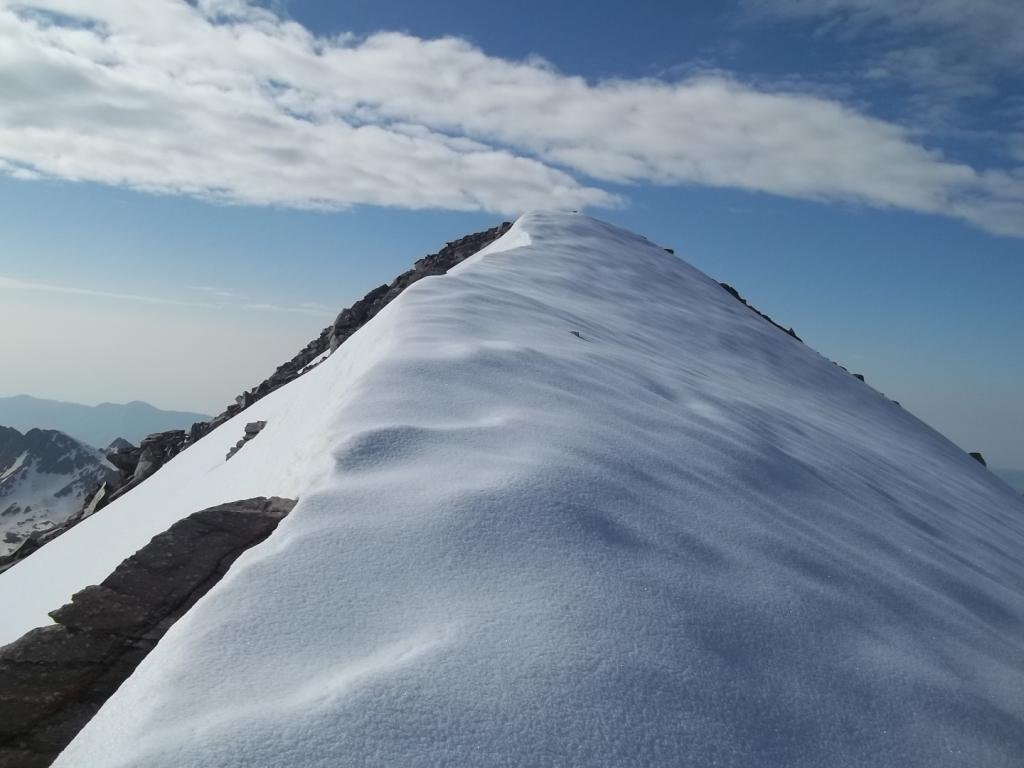 piatta cresta terminale