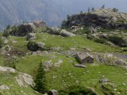 Casa Vittoria e Alpe Vasinetto