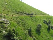 nel verde