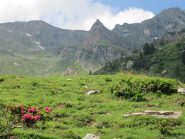 Verso il Colle Aciano