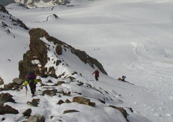 al colletto dove attacca la cresta