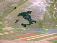 consultiamo la cartina..