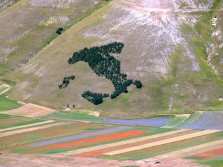 consultiamo la cartina..