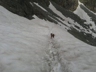 nevaio prima del colle